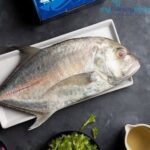 Large Bluefin Trevally / Thenga Paarai